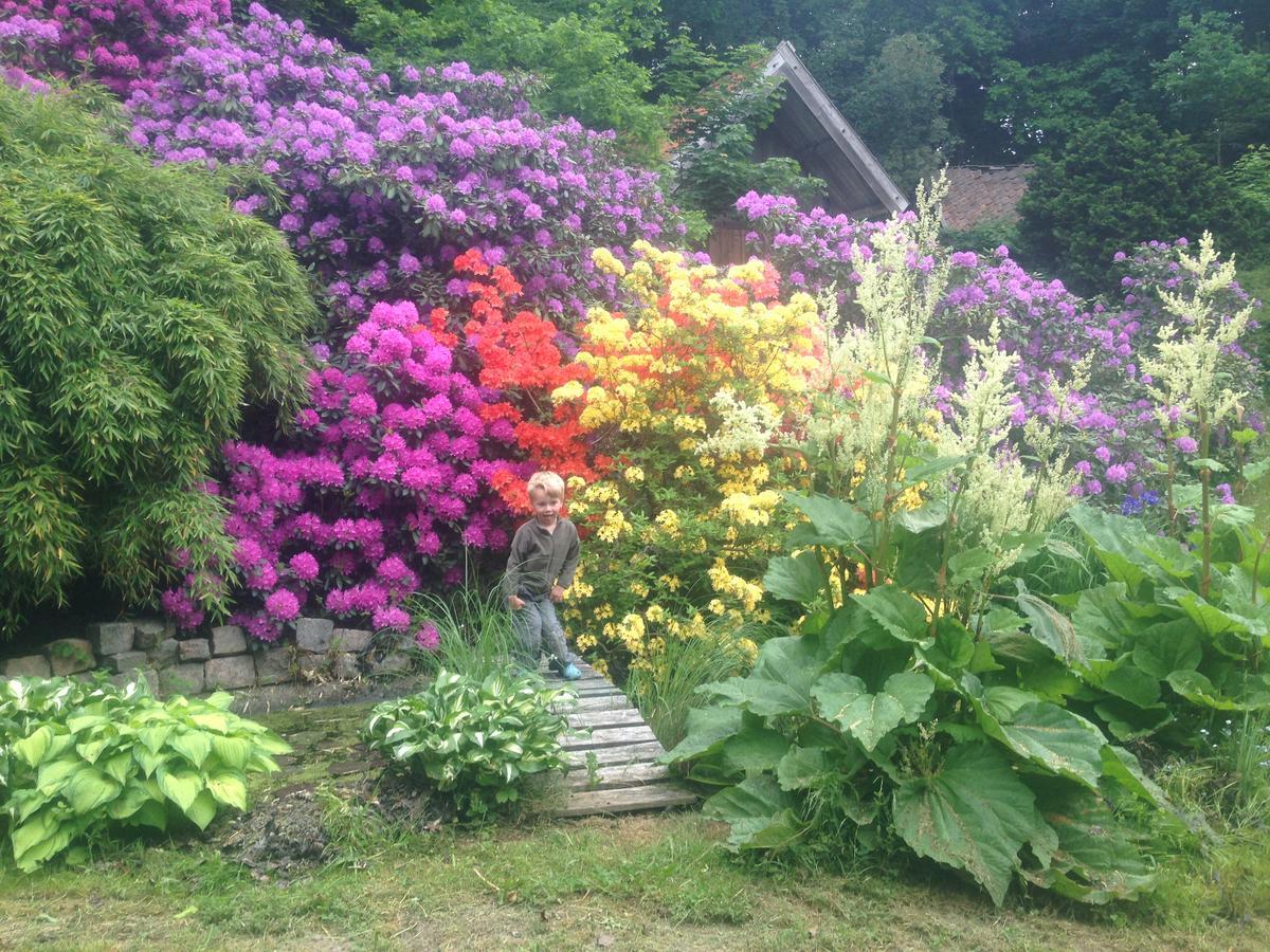 Berte Bed&Breakfast Sloinge Bagian luar foto