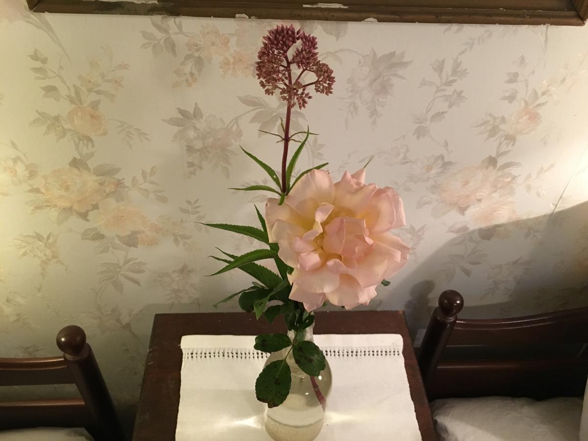 Berte Bed&Breakfast Sloinge Bagian luar foto